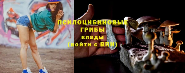mdpv Костерёво
